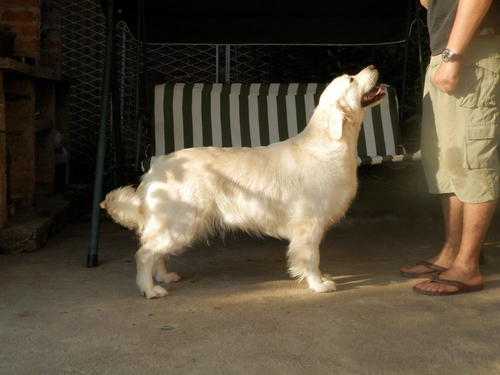 11334150_10207058064189274_6693596054801662628_o_zpss76xu3oh