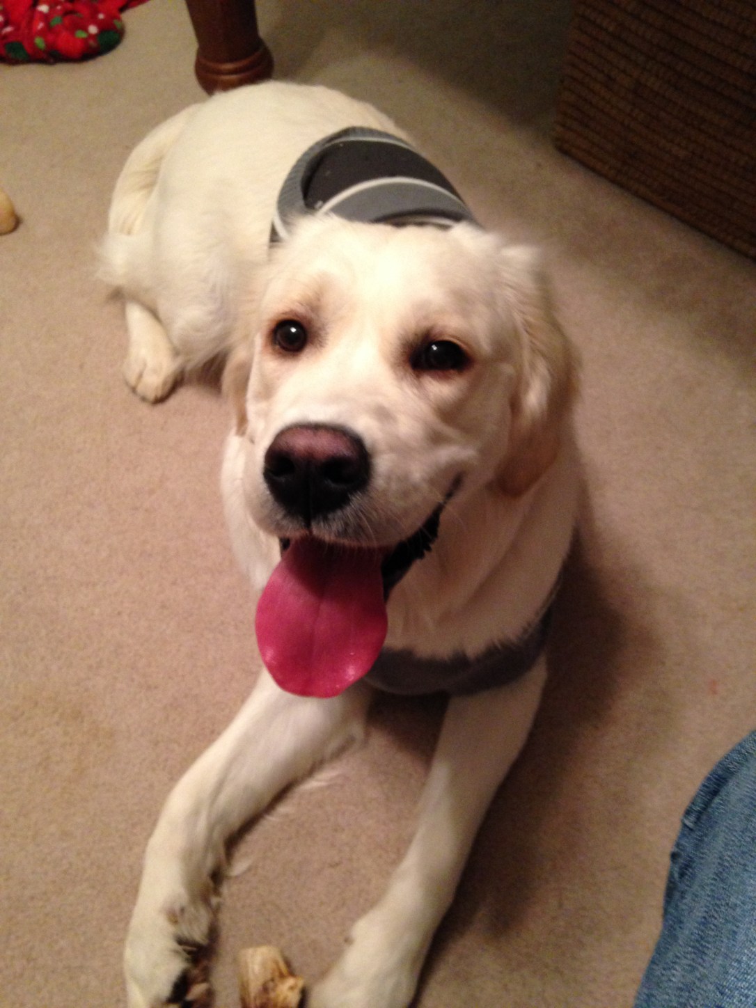 20150215_234852733_iOS