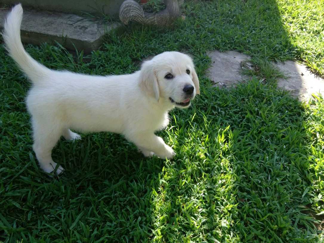 IMG952018062495092201395rewind