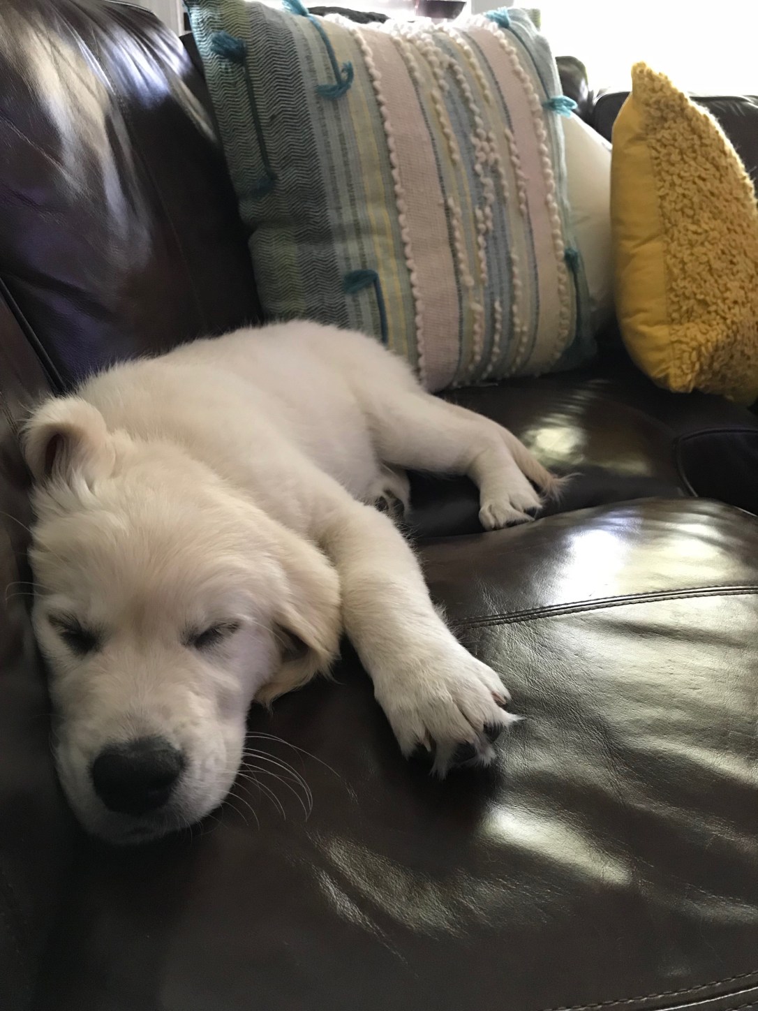 image_553440550432733