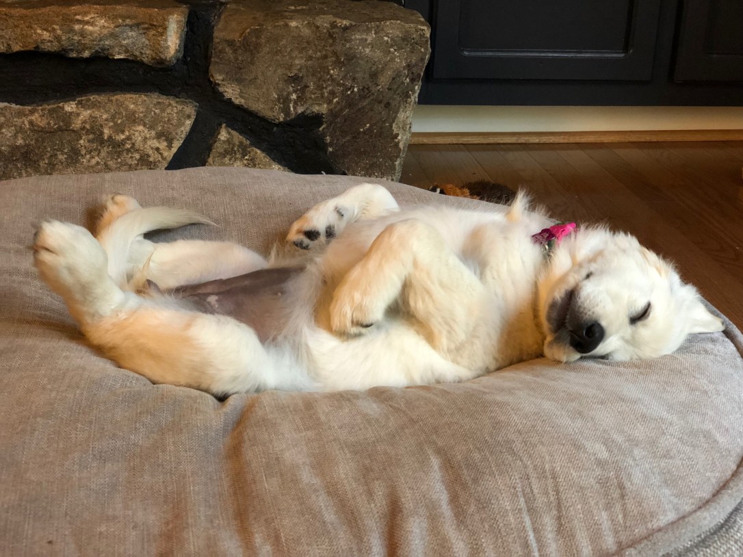 image_553649774539721