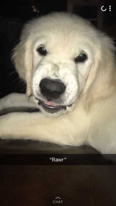 image_554728803131881